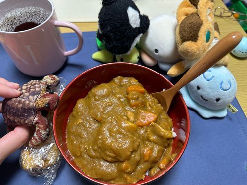 あまくちでおいらもたべやすかった
(　ﾟдﾟ)ﾝﾏｯ!
唯音は昼にレトルトカレー
夜にあるじカレー
明日の昼またあるじカレー、、
あるじが
もうしわけないって言ったけど
それでいいらしいよ
やさしいね(･∀･；)