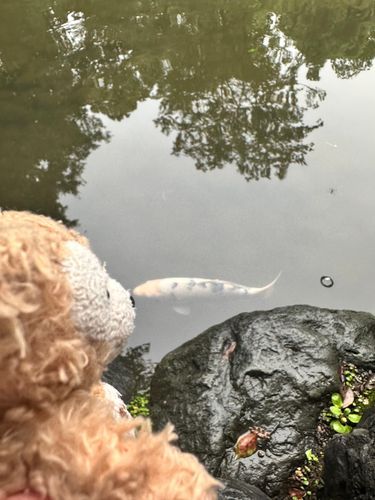 ﾁｭｯ