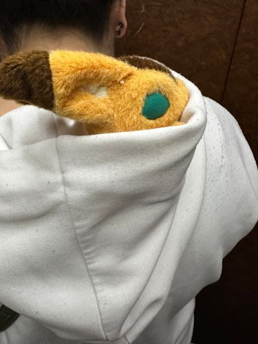 あったかいあるじのにおい
ここおちつく(〃´o｀)ﾌｩ…