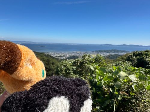 たかーい！きれーい！
うーみはひろいーなおおきーいなー！

おとなさいでねあるじ( ；ᵕ； )