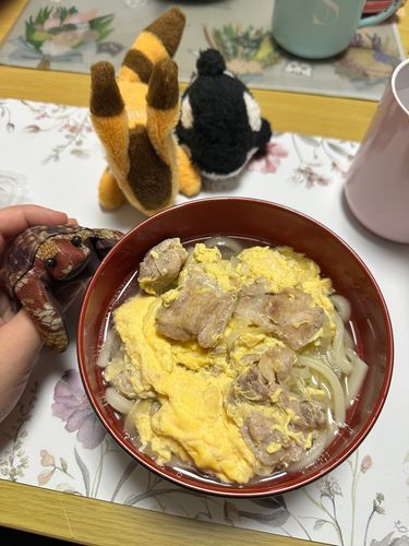 とりだしたまごとじうどん
やさしい味がした
うまかったぁ
