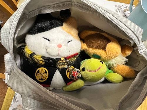 みちみち
ねこはねお家けいびいんの
竹千代、たけじいちゃん！

今日はお出かけしたいきぶんだって
いいよ！いいよ！いこう！！