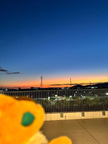 きれー
これがエモいってやつだね