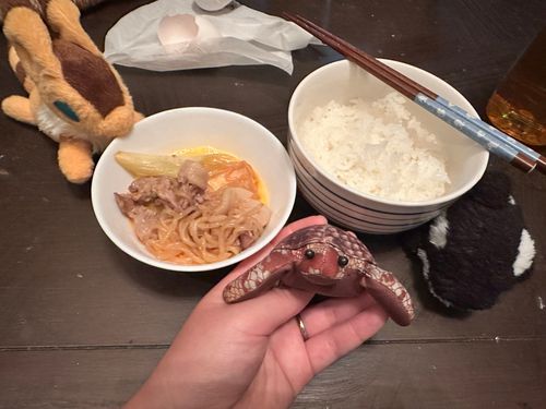 いとまま作
ぶたすきやき( *´꒳`*)
うんまかった！
おとうふあじしみしみだった

(・肉・)
