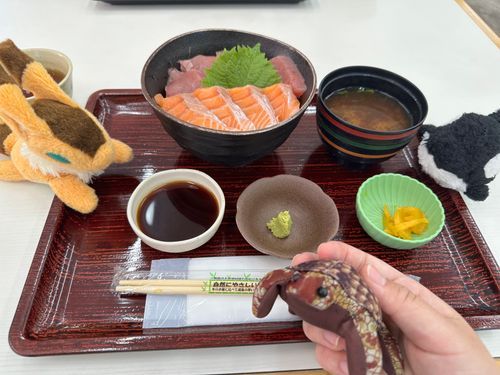 いやまじでうまかった
唯音もつれてこよう(*-ω-)ｩﾝ