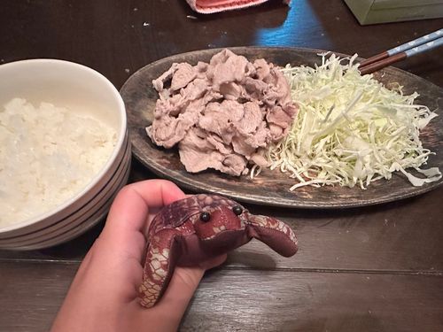 きのーの
豚しゃぶポン酢
さっぱりおいしい