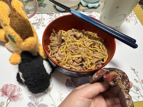 にくとえのきやきそば？
おいしかったの？よかったね
(◉︎ɷ◉︎ )


ブロッコリー食べたから許してください。