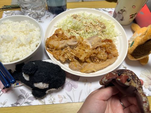 豚の生姜焼き
やわかくてあじしみしみうまかった
肉！！うまい！！
うまーーーい(,,> <,,)



ねえ。ぶた昨日も食べたじゃん？
