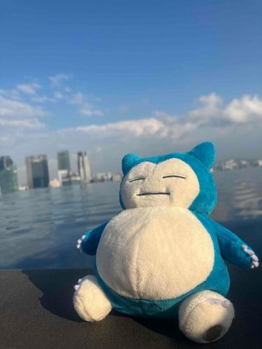 天空プール！