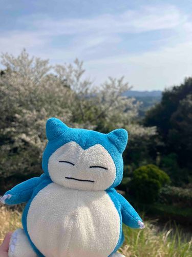 山桜！