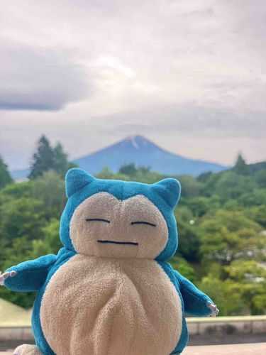 富士山！