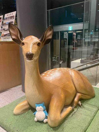 奈良〜🦌