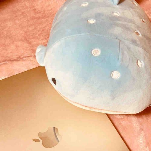 新しく買ったら気になったんだね
同じ大きさでかわいいね。