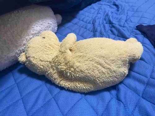 ごはんたべて
ちょっときゅうけい
すぐねたら
うしさんになっちゃうかな