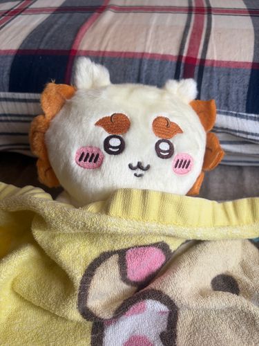 まぶシーサー