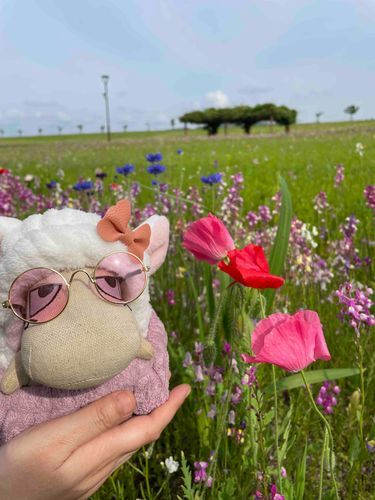 かわいいお花ちゃんみつけたよ～🦖❁⃘*.ﾟ
⚯˶着けてちょっとおめかし🎀