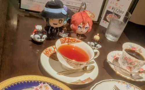 金魚ちゃんとお茶会してきた。そのへんに人魚もいたから一緒に記念撮影