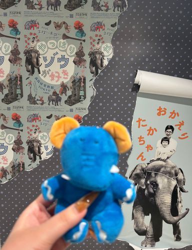 高島屋S.C.本館で『やっぱりゾウが好き』の展示会がされてるので行ってきたよ🐘‪💨
中は撮影禁止なので行ってからのお楽しみ🎶