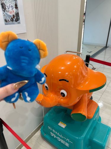 サトくん先輩に挨拶しに行きました🐘✨