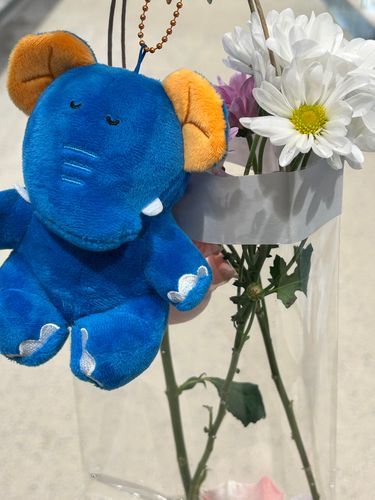 🐘💐‎🤍