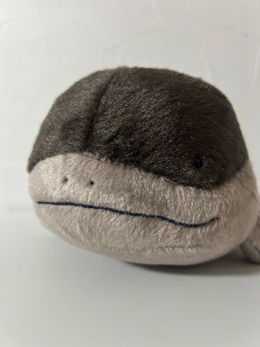 ドオー(前)