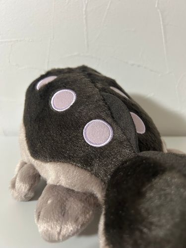 ドオー(後ろ)