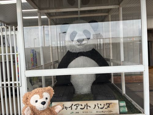 上野のパンダさん