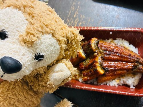 土用の丑の日
お写真撮る前に食べちゃった