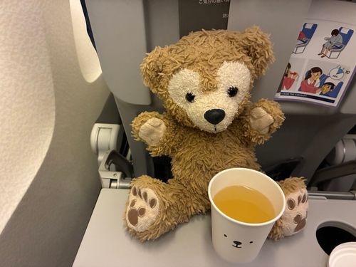 ホタテスープいただきました