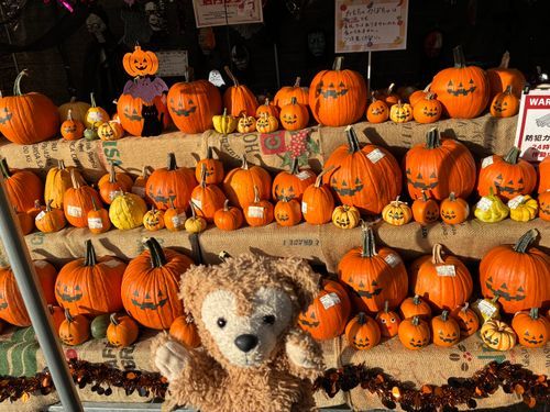 ハロウィンのカボチャ
🎃圧巻