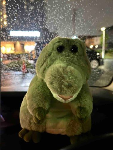 あめのひ☔️の おむかえ🚗