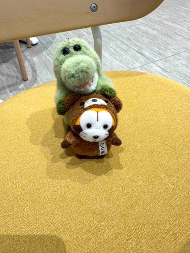 ねぇみて🐊
ボクよりちいさいよ🦝
