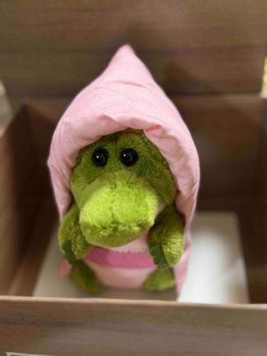 はこってはいりたくなるよね🐊