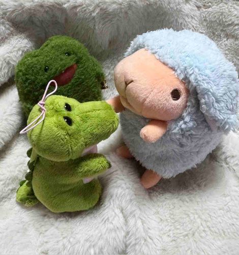 ヒツジじゃないよウサギだよ🐰
よろしくね♡ 