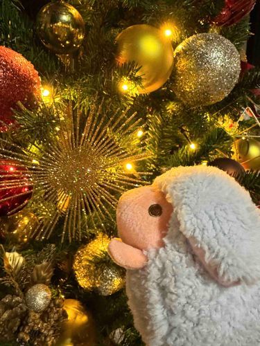 キラキラオーナメントがいっぱいついたクリスマスツリー🎄 きれいだったよ✨　