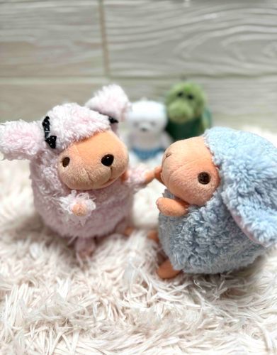 プードルちゃんがきたよ🐩
