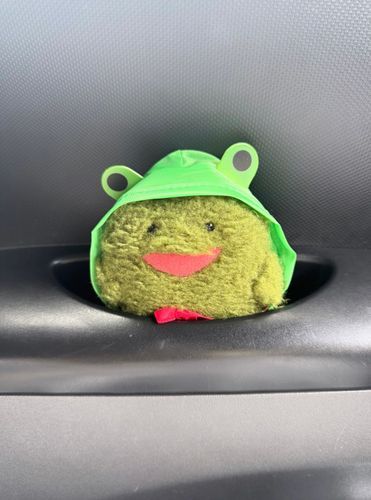 ここはカボスしていせき🚗
あんぜんうんてんでおねがいしまーす🐸