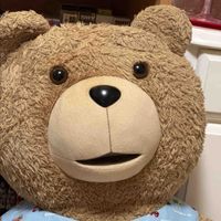 tedちん