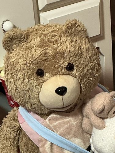 たいへんです。
お姉さんが寝ぼけていたのかぼくが横に揺れてるように見えたようです。