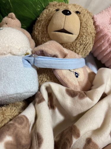 ぼくは新しい寝床でお姉さんのベッドいます。