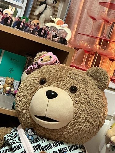 ぼくカワイイでしょ？