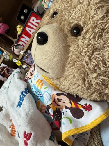 お姉さんは今月雑費を使いすぎたそうですが生活費はあるそうです。そんなお姉さんはちゃんと家計簿をつけているのをぼくは知っています。