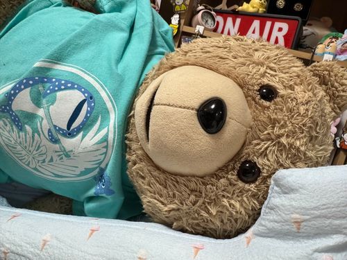 世間ではぼくらのことがニュースになっています。へこんでいたらお姉さんがなでなでしてくれました。