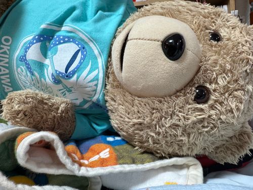 ドライの効いてる部屋でのうのうとくらしています。