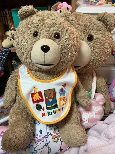 お姉さんがミキハウススタイ買ってくれまして、ぼくは満足しています。