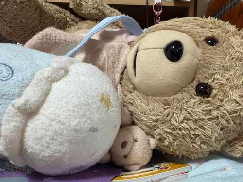 ぼくより九州のメンバーのみなさんへ

ご無事な夜でありますように。