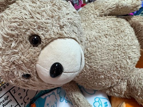 きいてくださいみなさん。
さっきぼくはお姉さんにお着替えしてもらうときお姉さんがぼくがおいしそうにみえたらしく、ぼくのあたまにお姉さんのよだれが。でもお姉さんはすぐあやまってきてふいてくれました。許しちゃうもんね。