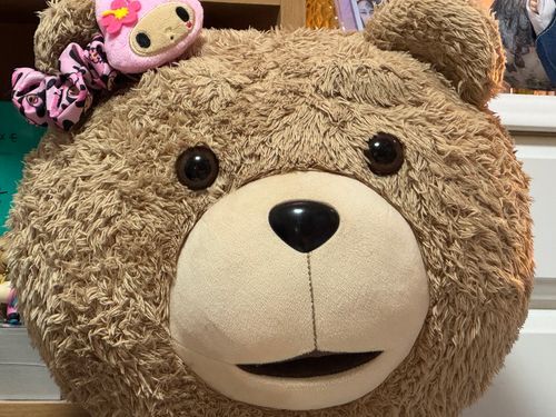 ぼくより千葉メンバーのみなさんへ。無事おうちにかえれてますように。