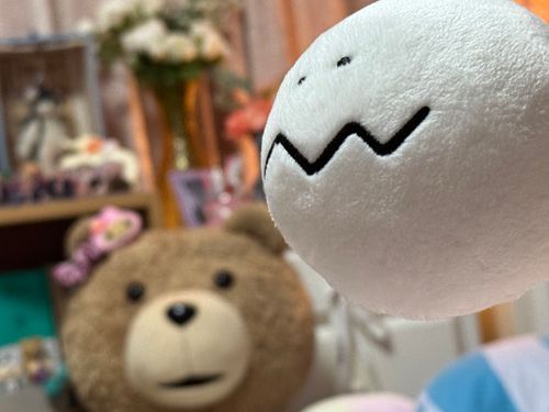 お姉さん、それびんよよって言うんでしょ？ そう言えば今日お姉さん色んなところにお買い物にいってたね。ぼくらはお留守番していました。