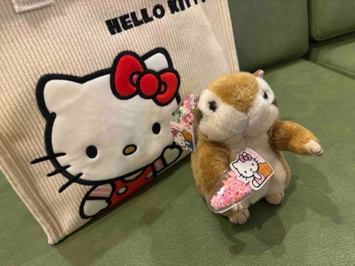 みんなだいすきハローキティ
=^・◦・🎀^=

ご当地キティちゃんに会えたヨ